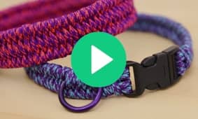 Paracord Dog Collar